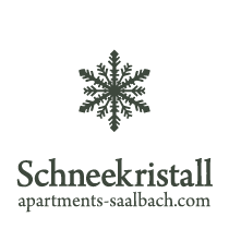 Apartmenthaus Schneekristall in Saalbach
